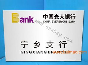 从创意到成品 如何将个人设计的图案通过彩印机制作广告牌